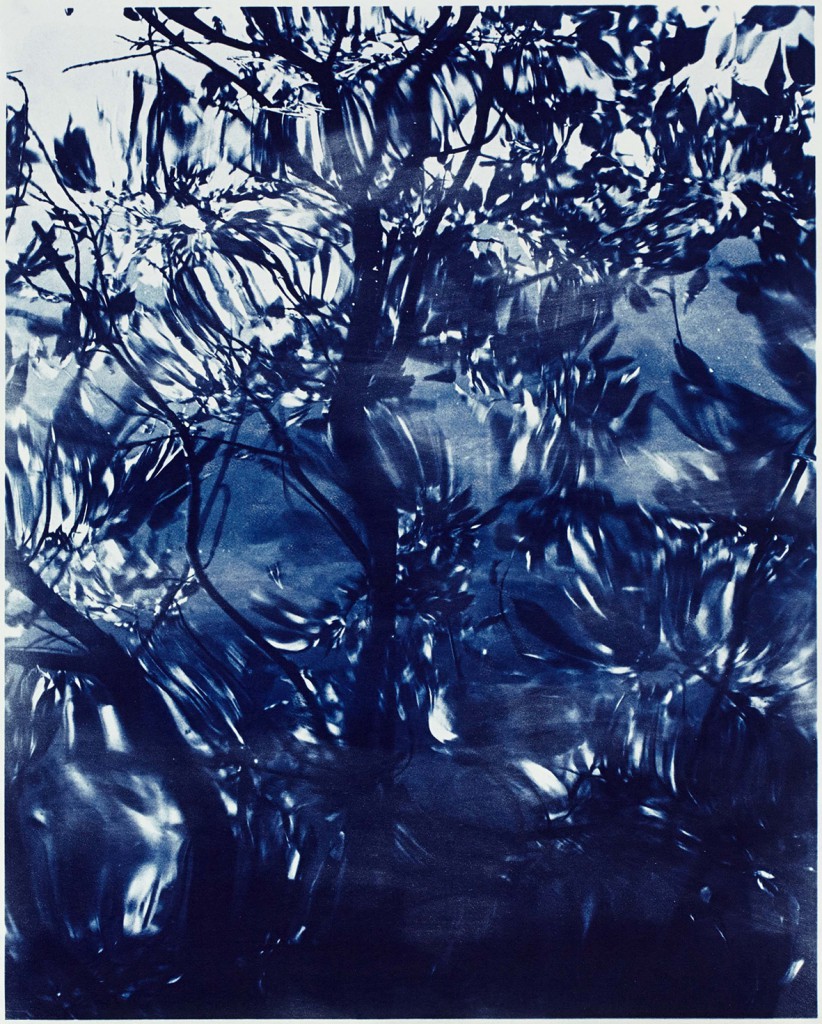 Waterscape Nr. 7 2013 Cyanotypie auf Aquarellpapier  95 x 76 cm