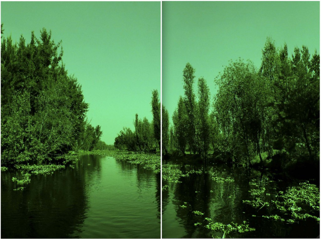 Katya Gardea Browne Xochimilco, Diptychon | diptych, 2014 120 x 160 cm © Katya Gardea Browne 